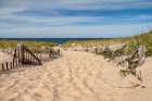 Massachusetts, Cape Cod, Provincetown. Fenced path to Race Point Beach, Cape Cod National Seashore Art Print